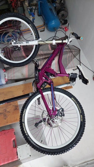 Kraftstoff D1 Evo Bild 2