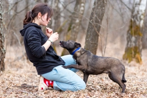 Ziganka sucht lievolles zu hause Bild 10