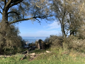 Kleine Wohnung gesucht