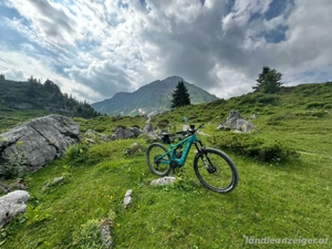 Focus Jam 7.9 M 29" Bild 2