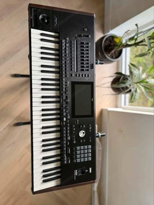 Korg Pa5x - 61 Bild 4