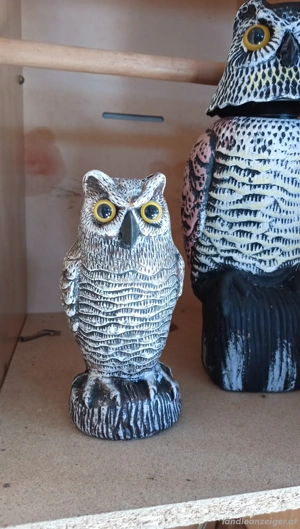 Eulen (Vogelschreck) Bild 2