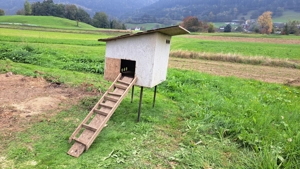 Hühnerstall Bild 2