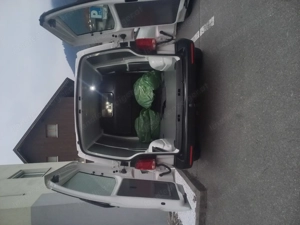 VW Transporter T6.1  Bild 3