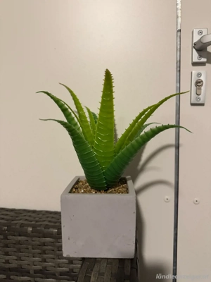 Kunstpflanze Aloe Vera