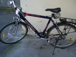 Herrenfahrrad Mistral Bild 3