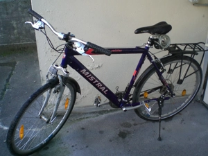 Herrenfahrrad Mistral Bild 2