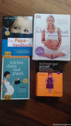 diverse Schwangerschaftsbücher 