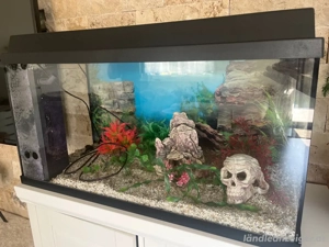    Aquarium 110L mit Beleuchtung & Innenausstattung   voll funktionsfähig