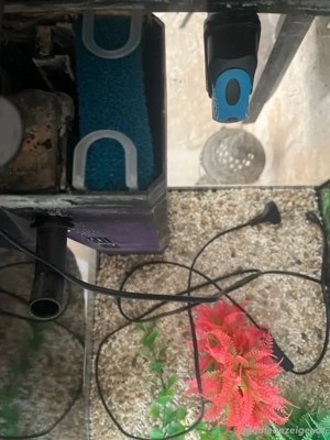    Aquarium 110L mit Beleuchtung & Innenausstattung   voll funktionsfähig Bild 4