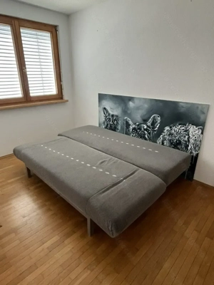 Schlafsofa GESCHENKT in Bregenz abzuholen!