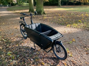 Urban Arrow Family, E-Bike, Lastenrad