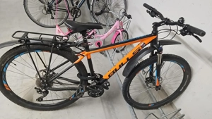 Mountainbike Bulls