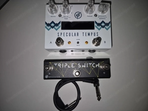 Verkaufe Delay&Reverb Pedal Specular Tempus Bild 4