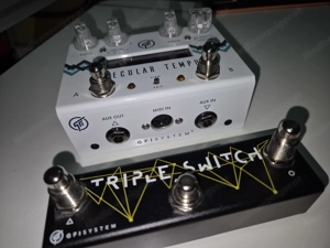 Verkaufe Delay&Reverb Pedal Specular Tempus Bild 2