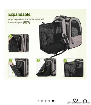 Rucksack für Hund und Katze