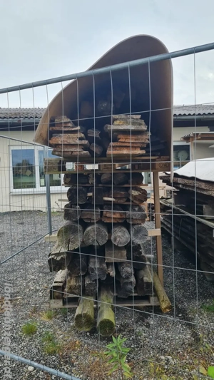 Altholz Tanne Bild 3