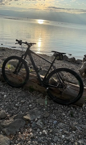 Cube Carbon L Bild 2