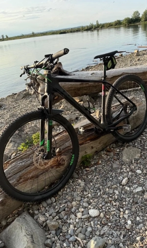 Cube Carbon L Bild 3