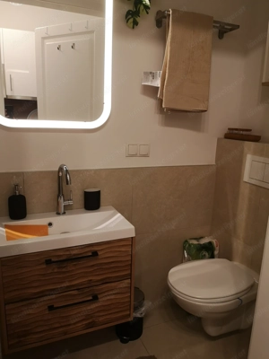 Vollmöblierte 1 zimmerwohnung  Bild 4