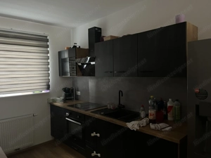 Moderne Lutz Küche   2 Jahre alt   mit Injektionsherd & Geschirrspüler