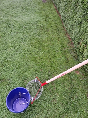 Rollblitz Obstsammler