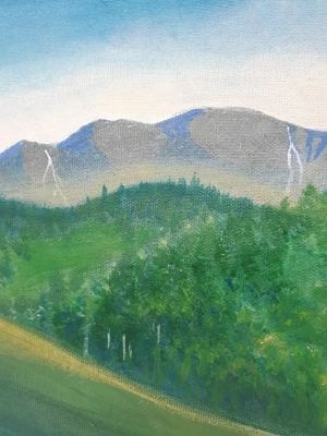 Das Firstgebiet ich blicke in das Herz von Mama Erde Bild 2