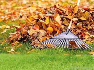 Gärtner,Haushalthilfe 