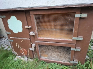 Hasenstall, Kleintierstall Bild 2