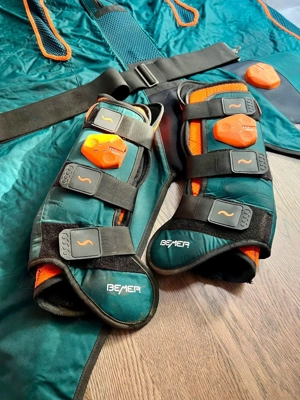 Bemer Horse Set Bild 2 Bemer Horse Set Bild 2