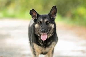 Rayda möchte geliebt werden