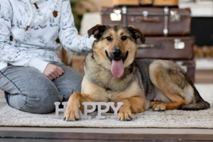 Wunderschöne Musya wartet auf dich