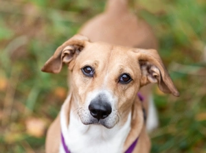 Bucks sucht menschen mit liebe und geduld Bild 5