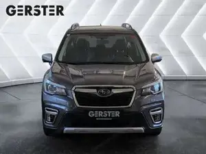 Subaru Forester Bild 2