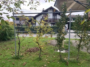 Spalier inkl. Säulenäpfel und Trauben