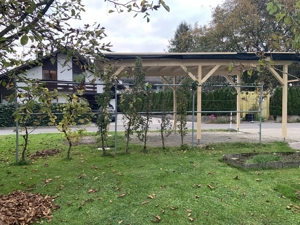 Spalier inkl. Säulenäpfel und Trauben Bild 3