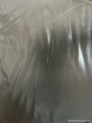 Echtleder Sofa  Bild 5