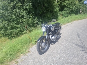 Puch SG 250 Bild 2