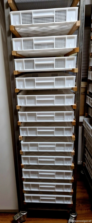 Häussler Nudelmaschinen-Set   Perfekt für Hofladen oder Gastro! Bild 2