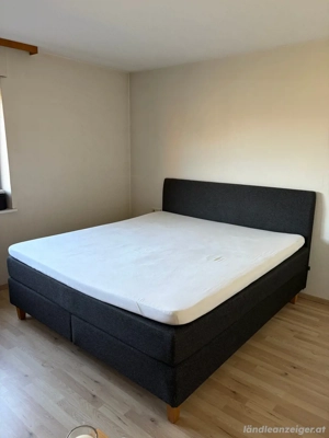 Jensen Boxspringbett 180 200cm in Anthrazit Bild 2