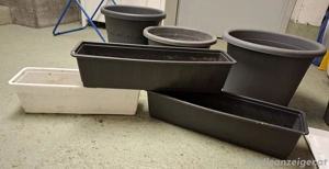 Diverse Blumentöpfe Bild 3