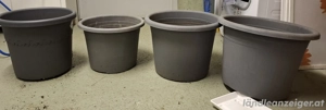 Diverse Blumentöpfe Bild 2