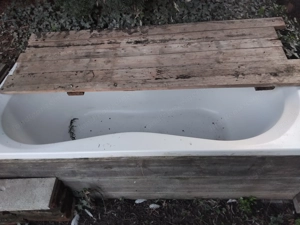 Badewanne für enten