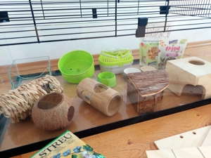 Nagerkäfig Glas 45x80x60 mit Zubehör  Bild 2