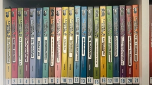 Laurel und Hardy DVD Sammlung Bild 3