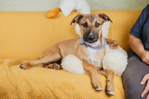 Tim sucht menschen die bleiben  Bild 3