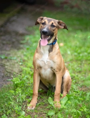 Tim sucht menschen die bleiben  Bild 4