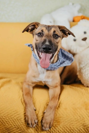 Tim sucht menschen die bleiben  Bild 5