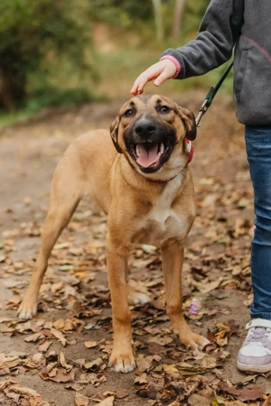 Tim sucht menschen die bleiben  Bild 2