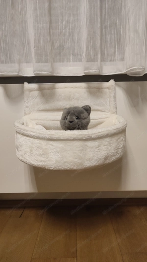 Katzen Hängematte  Bild 2